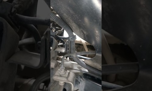 桂皮炖肉不能乱吃-桂皮焖肉的吃法网 :分享桂皮炖肉调料大全-桂皮焖肉的吃法大全知识